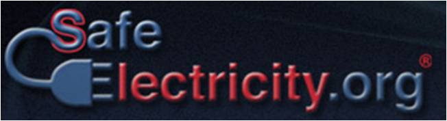 Safe Electricity Logo
