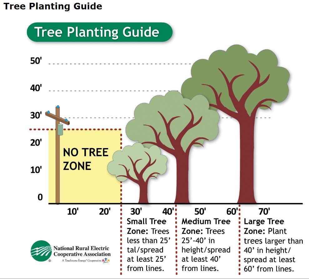 Tree Planting Guide Howard Electric Cooperative